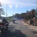 동해곰장어나라 이미지