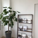 호연스테이 이미지