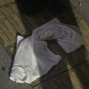 옷데렐라 이미지