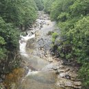 무릉계곡 관리동 이미지