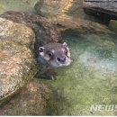 전라남도야생동물구조관리센터 이미지