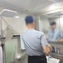 [강서구 방역업체] 여름철 초파리 좀벌레 걱정 끝...있는집 소독 + 먼지다듬이 퇴치 '해충크리닉' 솔직후기