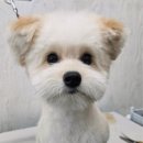 구미스포츠프라자 이미지