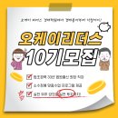 오케이법률사무소 이미지