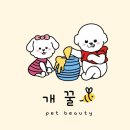 펫뷰티샵 페이보릿 | [부산 연제구] 1:1 애견미용샵 ‘개꿀 펫 뷰티&#39; 반려견 위생+목욕 후기🐶