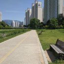 달서천변 이미지