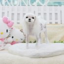 아콩하우스 - 시흥시 봉우재로69번길 14 | 아콩하우스
