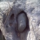 지리산골짝 이미지