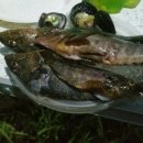 나곡해수욕장 이미지