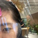 오캄헤어 - 포항시 북구 우창동로55번길 19 | 현대백화점 킨텍스 오캄헤어 그레이스펌 후기