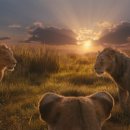 라이온킹 이미지