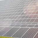 태양약품 이미지