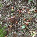 신철농장 이미지