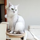 (주)파우제 이미지