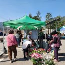 장터파전 이미지