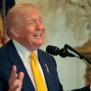 CW-1272-01 이미지