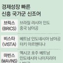MIP 이미지