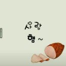 169 이미지