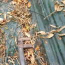 칠서파출소 이미지