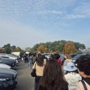 (주)대기금속 | ✨국립경주박물관 신라금관특별전 오픈런 후기🏛️