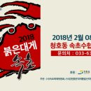 속초 붉은 대게 이미지