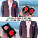 이니월드 이미지