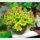 방배유도관 이미지