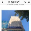 황인의원 | 도시농부, 탈모의 성지 병원 블로그 포스팅으로 의료법 위반 당한 사연 대처 후기