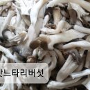 99마트 이미지