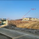 팽성원정보건진료소 | 팽성읍농지경매` 3회유찰 평택시 팽성읍 원정리 119-14 답 2024타경41220
