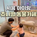 쥬니멀 반려동물카페 이미지