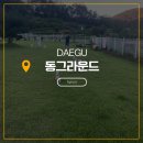 문양역5길 | [동그라운드] 대구 소형견 중형견 대형견 모두 가능한 애견운동장/애견카페
