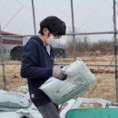 꽃피는 춘삼월