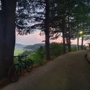 죽변운동장 티스토리