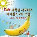 아이돌스 - 전주시 덕진구 견훤로 368 | 아이돌스
