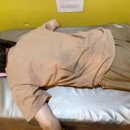 클라라스킨앤바디 이미지