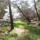 푸른산농원 이미지