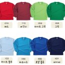 곡성중앙초등학교 | 초등학교 학생회 티셔츠 납품 후기