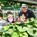 박종일농장 이미지