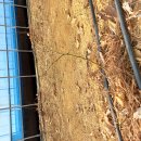 상서농장 이미지