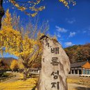 2026.10,18(178회) 충북 제천 "베론성지" 단풍 트래킹 이미지
