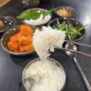 백암순대 | 웨이팅 끝판왕 강남역 혼밥 식당 농민백암순대 후기