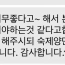 서울경인초등학교 | 대전 자사고 대신고 학생 목동 영어 원장 1:1 수업 후기