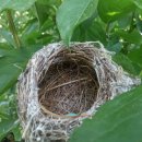 둥지농장 이미지