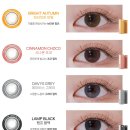 으뜸50안경순천신대점 이미지