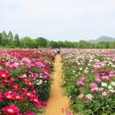 합천푸드뱅크 이미지