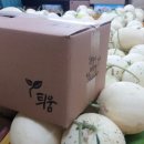 연자연 이미지