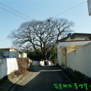 대리마을(1) 이미지