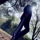 피개행개 이미지