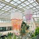 유니스의정원 보타닉하우스 이미지